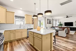 14706 Metaghan Ct, Charlotte, NC 28278 - Photo 13