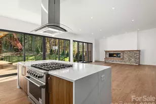 87 Verbania Rd, Mills River, NC 28759 - Photo 5