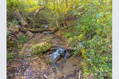 125 Nugget Lane, Sylva, NC 28779 - Photo 5