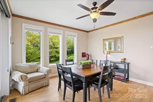 224 Elderberry Ridge Rd, Beech Mountain, NC 28604 - Photo 9