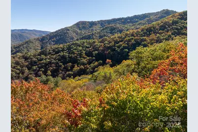 999 Cullisia Road, Bryson City, NC 28713 - Photo 5