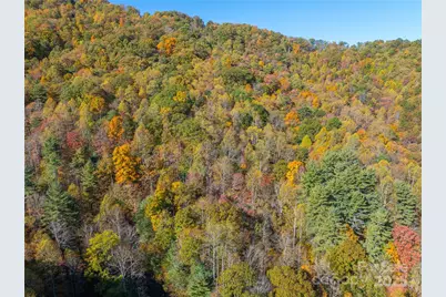 999 Cullisia Road, Bryson City, NC 28713 - Photo 3