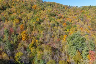 999 Cullisia Rd, Bryson City, NC 28713 - Photo 3