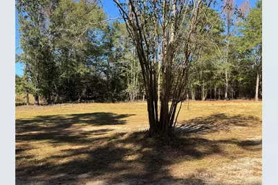 3960 Travellers Road, Kershaw, SC 29067 - Photo 5