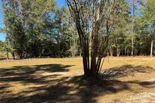 3960 Travellers Rd, Kershaw, SC 29067 - Photo 5