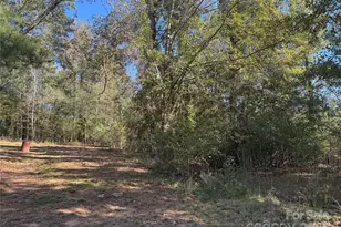 3960 Travellers Rd, Kershaw, SC 29067 - Photo 19