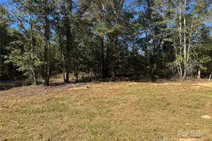 3960 Travellers Rd, Kershaw, SC 29067 - Photo 3