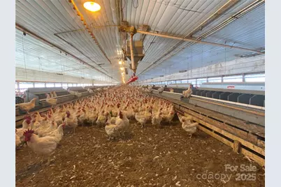 382 Poole Road, Ellenboro, NC 28040 - Photo 9