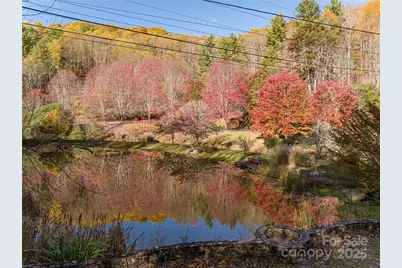 334 Foxden Road, Mars Hill, NC 28754 - Photo 39