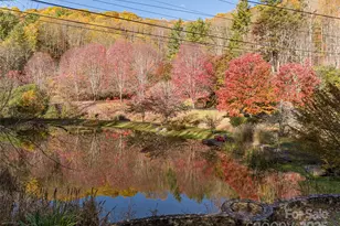 334 Foxden Rd, Mars Hill, NC 28754 - Photo 39