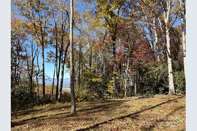 45 Trillium Garden Trail #Lot 29, Fletcher, NC 28732 - Photo 1