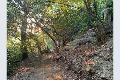 45 Trillium Garden Trail #Lot 29, Fletcher, NC 28732 - Photo 7