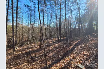 0 McOwenben Pass #18, Lake Lure, NC 28746 - Photo 11