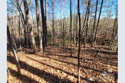 0 McOwenben Pass #18, Lake Lure, NC 28746 - Photo 9