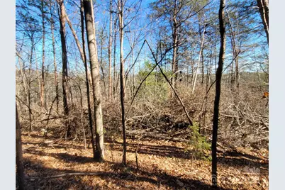 0 McOwenben Pass #18, Lake Lure, NC 28746 - Photo 5