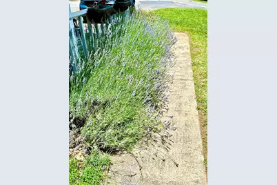 3 Rocking Porch Road, Asheville, NC 28805 - Photo 7