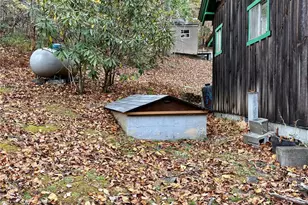 875 Carson Creek Rd, Brevard, NC 28712 - Photo 13