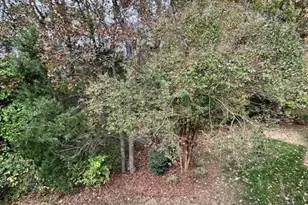 10301 Linksland Dr, Huntersville, NC 28078 - Photo 39