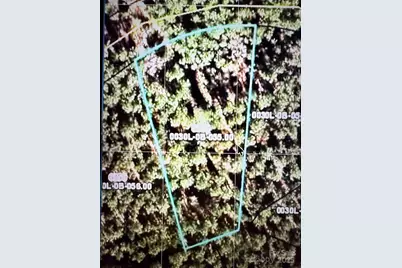 6339 Chimney Bluff Road, Lancaster, SC 29720 - Photo 1