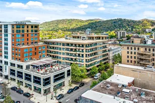 21 Battery Park Ave, Asheville, NC 28801 - Photo 29