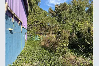 900 W Chapel Road, Asheville, NC 28803 - Photo 9