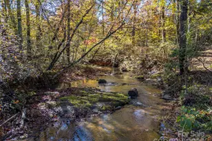 334 Bridge Rd, Ellenboro, NC 28040 - Photo 3