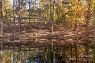 10 Tahchee Trail, Fletcher, NC 28732 - Photo 45