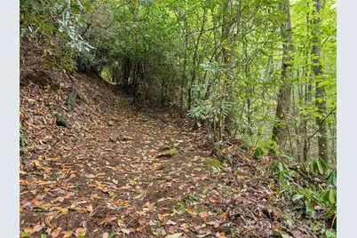 Lot 23 Finlaystone Trace, Waynesville, NC 28786 - Photo 5