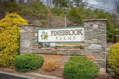 22 Craftsman View Drive, Asheville, NC 28804 - Photo 41