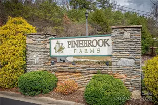 22 Craftsman View Dr, Asheville, NC 28804 - Photo 41