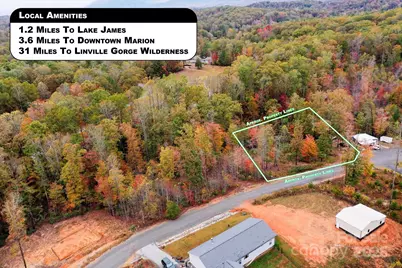 269 Mooseheart Road, Nebo, NC 28761 - Photo 9
