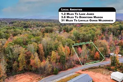 269 Mooseheart Road, Nebo, NC 28761 - Photo 11