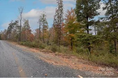 269 Mooseheart Road, Nebo, NC 28761 - Photo 3