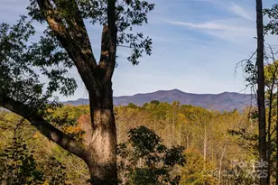 1487 Golf Course Rd, Old Fort, NC 28762 - Photo 31