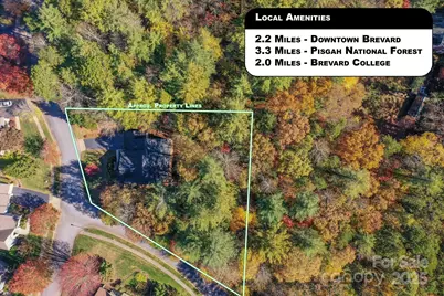 186 Camptown Road, Brevard, NC 28712 - Photo 37