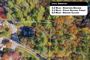 186 Camptown Rd, Brevard, NC 28712 - Photo 37