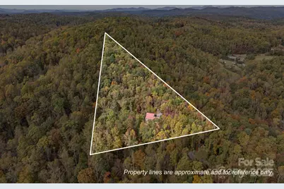 38 Buzzards Rest Trail #7, Saluda, NC 28773 - Photo 47