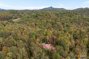 38 Buzzards Rst Trl, Saluda, NC 28773 - Photo 45