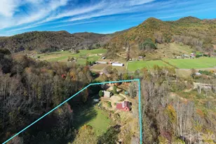 1265 Dillingham Rd, Barnardsville, NC 28709 - Photo 5