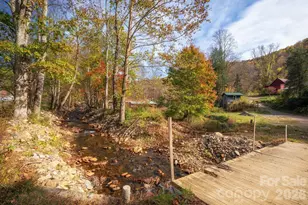 1265 Dillingham Rd, Barnardsville, NC 28709 - Photo 43