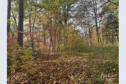 899 Hyacinth Drive, Clyde, NC 28721 - Photo 27