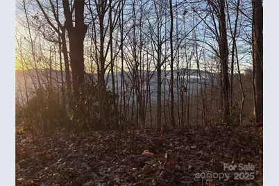 899 Hyacinth Drive, Clyde, NC 28721 - Photo 5