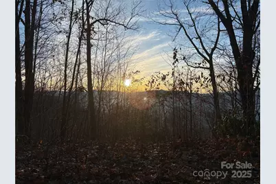 899 Hyacinth Drive, Clyde, NC 28721 - Photo 9