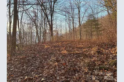 899 Hyacinth Drive, Clyde, NC 28721 - Photo 3