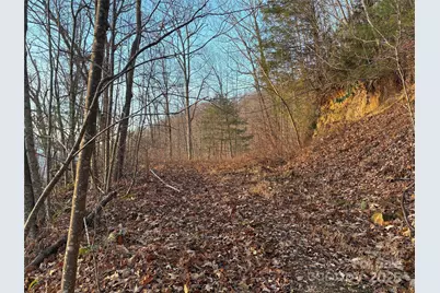 899 Hyacinth Drive, Clyde, NC 28721 - Photo 11