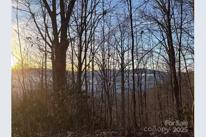 899 Hyacinth Drive, Clyde, NC 28721 - Photo 13