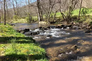 147 & 131 Gentry Farm Dr, Hot Springs, NC 28743 - Photo 3