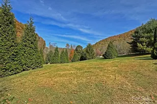 147 & 131 Gentry Farm Dr, Hot Springs, NC 28743 - Photo 41