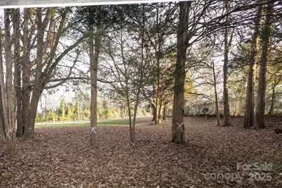 9500 Shannon Green Drive #C, Charlotte, NC 28213 - Photo 17