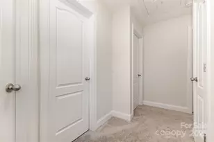 1119 Pecan Ridge Rd, Fort Mill, SC 29715 - Photo 29